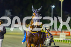 2026_PACEPIX_GP17072026_RACE7_Poppyonthebeach_WIN_WEB-25