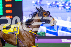 2026_PACEPIX_GP17072026_RACE7_Poppyonthebeach_WIN_WEB-4
