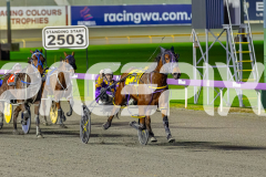 2026_PACEPIX_GP17072026_RACE7_Poppyonthebeach_WIN_WEB-7