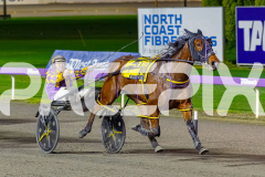 2026_PACEPIX_GP17072026_RACE7_Poppyonthebeach_WIN_WEB-9