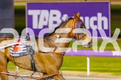 2025_PACEPIX_GP10102025_RACE7_PrincessKatie_WIN_WEB-10