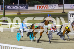 2025_PACEPIX_GP02122025_Race7_Quiggley_WIN_WEB-1
