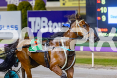 2025_PACEPIX_GP02122025_Race7_Quiggley_WIN_WEB-11