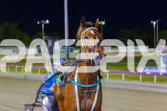 2025_PACEPIX_GP02122025_Race7_Quiggley_WIN_WEB-16