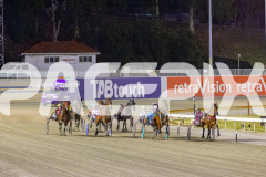 2025_PACEPIX_GP02122025_Race7_Quiggley_WIN_WEB-2