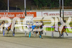 2025_PACEPIX_GP02122025_Race7_Quiggley_WIN_WEB-3