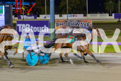 2025_PACEPIX_GP02122025_Race7_Quiggley_WIN_WEB-8