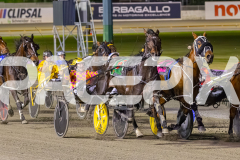 RACE 7 - Captain Ravishing