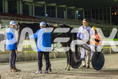 2025_PACEPIX_GP03102025_RACE7_CaptainRavishing_WIN_WEB-15
