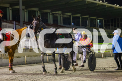 2025_PACEPIX_GP03102025_RACE7_CaptainRavishing_WIN_WEB-16