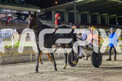 2025_PACEPIX_GP03102025_RACE7_CaptainRavishing_WIN_WEB-17