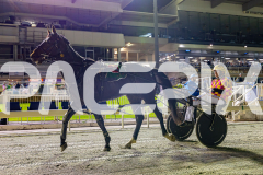 2025_PACEPIX_GP03102025_RACE7_CaptainRavishing_WIN_WEB-18