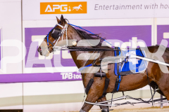 2025_PACEPIX_GP17102025_Race7_Raklou_WIN_WEB-12