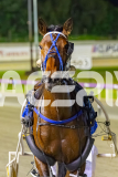 2025_PACEPIX_GP17102025_Race7_Raklou_WIN_WEB-14