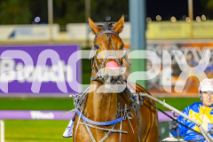 2025_PACEPIX_GP26082025_Race7_ReelemInn_WIN_WEB-19