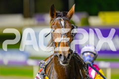 2025_PACEPIX_GP29042025_Race7_Repossession_WIN_WEB-17