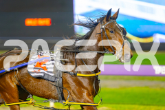 2025_PACEPIX_GP29042025_Race7_Repossession_WIN_WEB-3