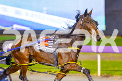 2025_PACEPIX_GP29042025_Race7_Repossession_WIN_WEB-5