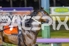 2026_PACEPIX_GP20022026_WEB-119