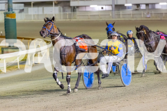 2026_PACEPIX_GP20022026_WEB-128