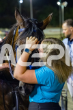 2026_PACEPIX_GP20022026_WEB-145