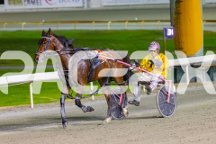 2025_PACEPIX_GP28102025_Race7_RockstarQuality_WIN_WEB-14