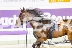 2025_PACEPIX_GP28102025_Race7_RockstarQuality_WIN_WEB-15