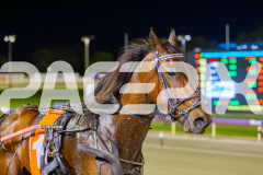2025_PACEPIX_GP28102025_Race7_RockstarQuality_WIN_WEB-16