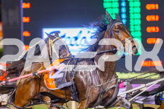 2025_PACEPIX_GP28102025_Race7_RockstarQuality_WIN_WEB-4