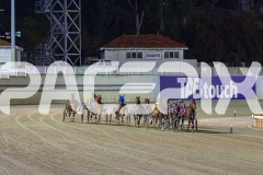 2025_PACEPIX_GP28102025_Race7_RockstarQuality_WIN_WEB-6