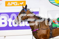 2026_PACEPIX_GP22052026_RACE7_RumbleStrip_WIN_WEB-16