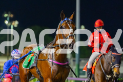 2026_PACEPIX_GP22052026_RACE7_RumbleStrip_WIN_WEB-18