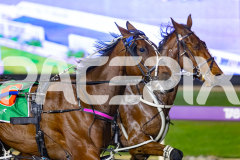 2026_PACEPIX_GP22052026_RACE7_RumbleStrip_WIN_WEB-3