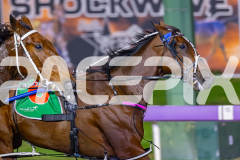 2026_PACEPIX_GP22052026_RACE7_RumbleStrip_WIN_WEB-8