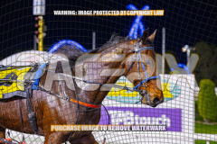 2026_Pacepix_GP21082026_Race7_Saifa_WIN_WEB-12