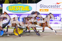 RACE 7 - Salsawithsierra