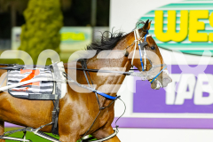 2026_PACEPIX_GP31032026_RACE7_Salsawithsierra_WIN_WEB-12