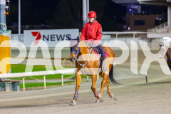 2026_PACEPIX_GP31032026_RACE7_Salsawithsierra_WIN_WEB-13