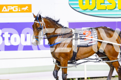 2026_PACEPIX_GP31032026_RACE7_Salsawithsierra_WIN_WEB-15