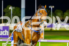 2026_PACEPIX_GP31032026_RACE7_Salsawithsierra_WIN_WEB-17