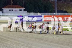 2026_PACEPIX_GP31032026_RACE7_Salsawithsierra_WIN_WEB-2