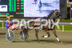 Sammy-Suffarell_01-05-2026_WIN_Gloucester-Park_7__09