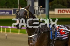 Sammy-Suffarell_01-05-2026_WIN_Gloucester-Park_7__10