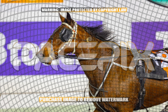 2026_Pacepix_GP14082026_Race7_ScooterB_WIN_WEB-11