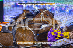 2026_Pacepix_GP14082026_Race7_ScooterB_WIN_WEB-4