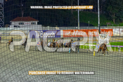 2026_Pacepix_GP14082026_Race7_ScooterB_WIN_WEB-6