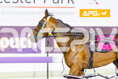 2026_Pacepix_GP30012026_RACE7_SebastianJames_WIN_WEB-10