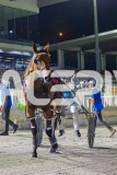 2026_Pacepix_GP30012026_RACE7_SebastianJames_WIN_WEB-13