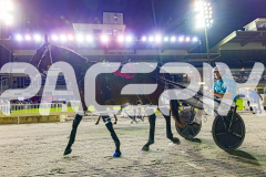 2026_Pacepix_GP30012026_RACE7_SebastianJames_WIN_WEB-16