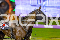 2026_PACEPIX_GP14072026_RACE7_ShesAllGo_WIN_WEB-13